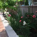 Aparthotel Vase 3*