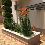 Vase Aparthotel Ravda