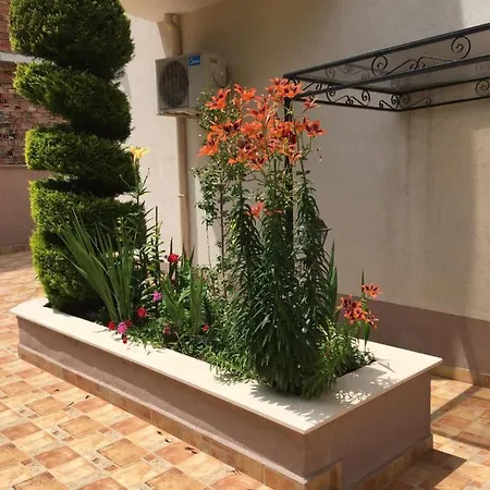 Vase Lejlighedshotel Ravda