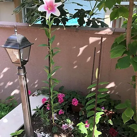 Vase Hotel de apartamente 3*