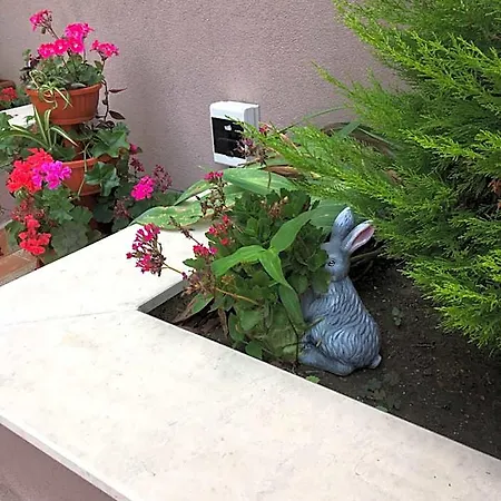 Vase Aparthotel 3*